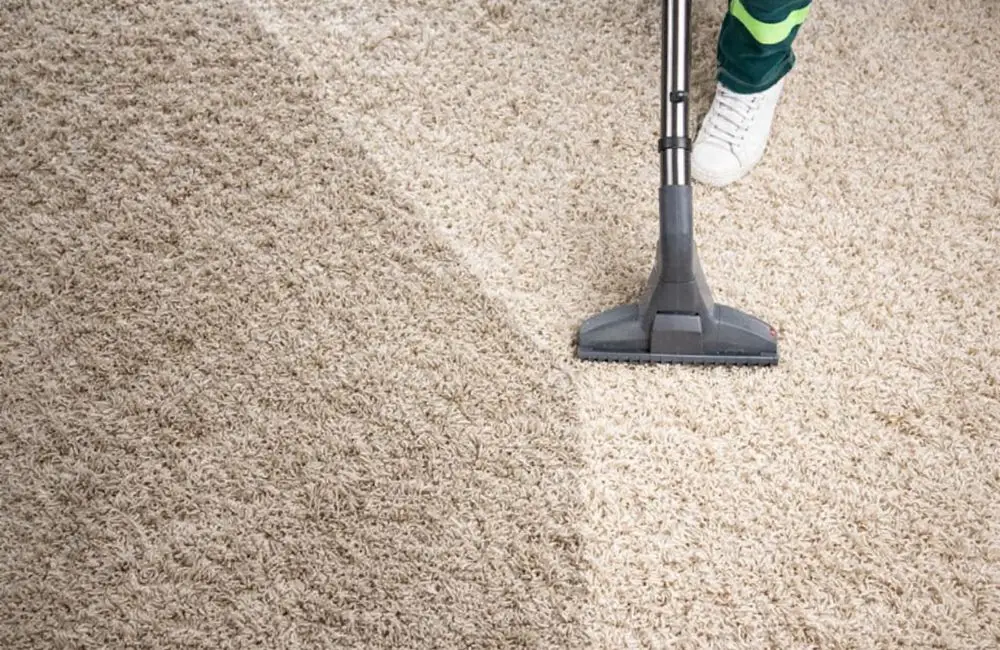 How Professional Carpet Cleaning Companies Ensure Stain Removal