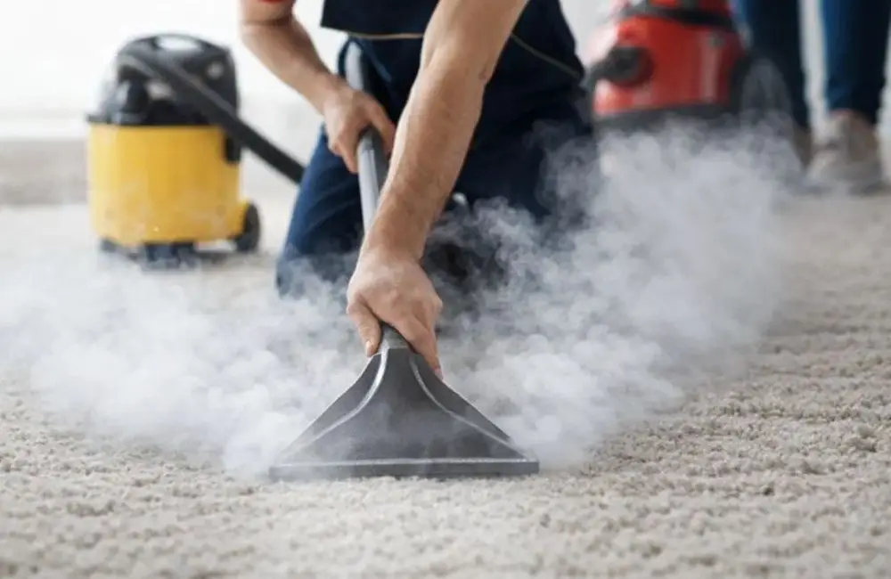 How Professional Carpet Cleaning Companies Ensure Stain Removal