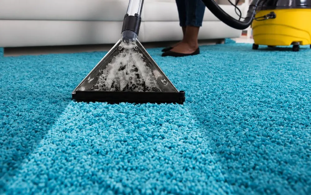 Why Regular Carpet Cleaning Is Important for a Healthier Home Environment